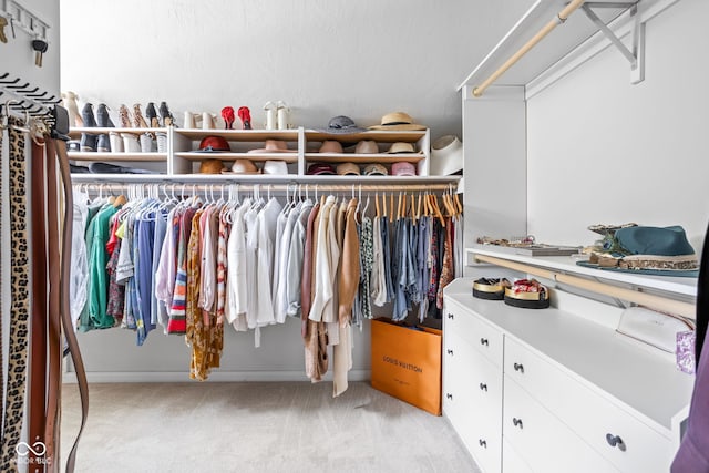 4956 Waterside Cir, Carmel, IN 46033 - walk in closet featuring light colored carpet