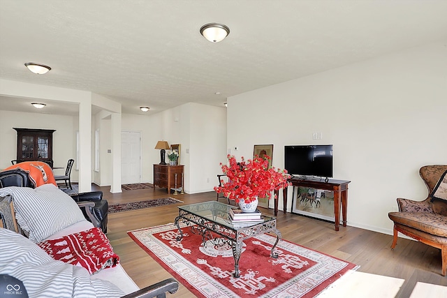 49 Manchester Dr, Trafalgar, IN 46181 - living room featuring wood finished floors