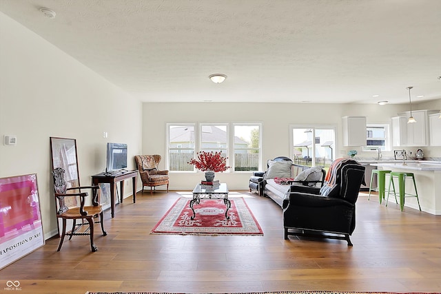 49 Manchester Dr, Trafalgar, IN 46181 - living room featuring hardwood / wood-style flooring and a textured ceiling