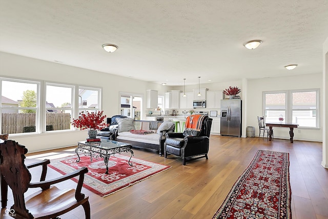49 Manchester Dr, Trafalgar, IN 46181 - living area with light wood-style flooring and a textured ceiling