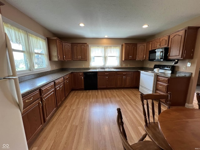1345 E County Road 300 S, New Castle, IN 47362 - kitchen with black appliances, dark countertops, light wood-style floors, a textured ceiling, and a sink