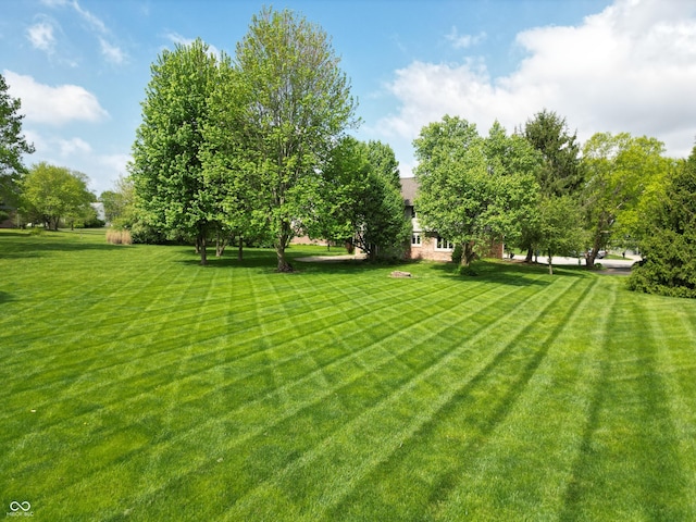 11021 Brentwood Ave, Zionsville, IN 46077 - view of green lawn