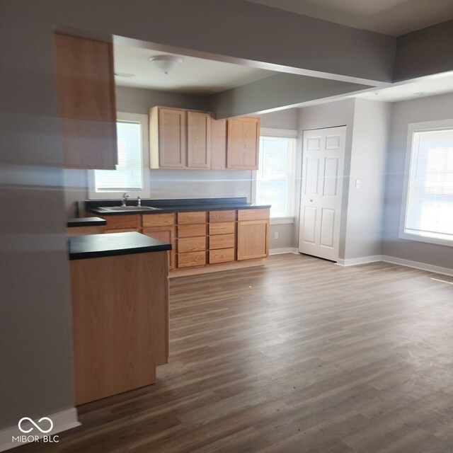kitchen featuring a sink, dark wood finished floors, dark countertops, baseboards, and light brown cabinets