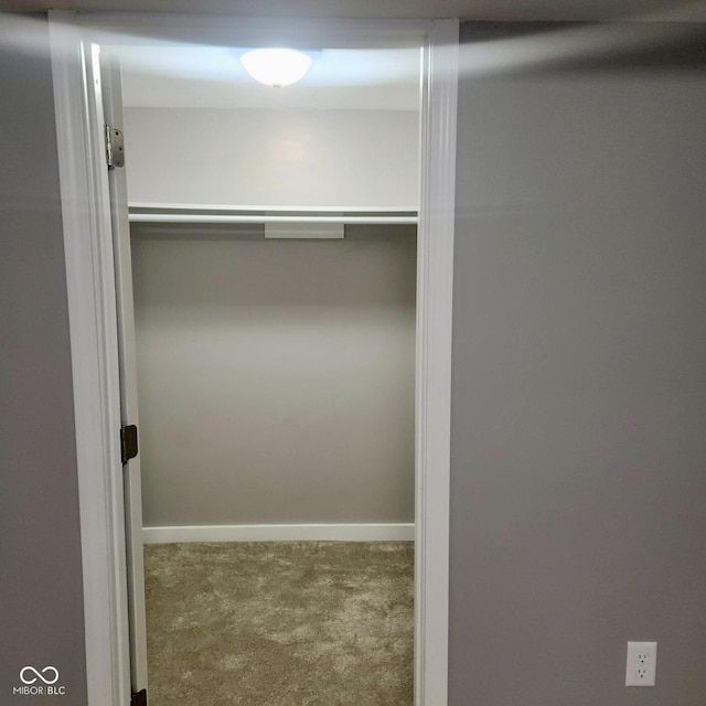 spacious closet featuring carpet floors