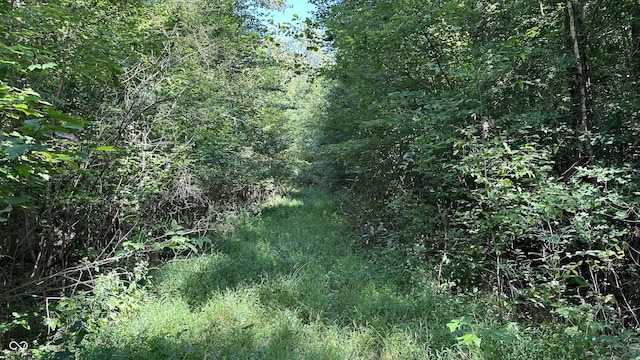 5 Reynolds Rd, Coal City, IN 47427