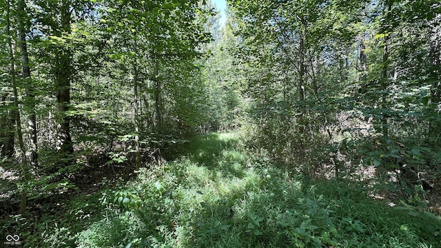 5 Reynolds Rd, Coal City, IN 47427