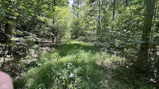 5 Reynolds Rd, Coal City, IN 47427