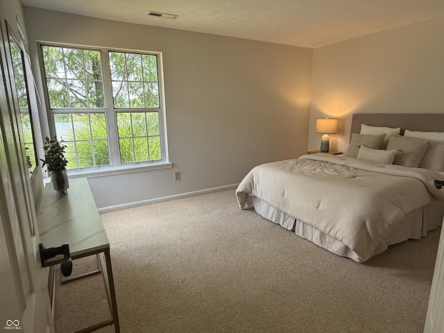 2829 Somerset Bay, Indianapolis, IN 46240 - photo 9