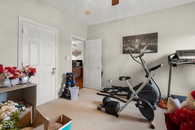 exercise area featuring carpet flooring and ceiling fan
