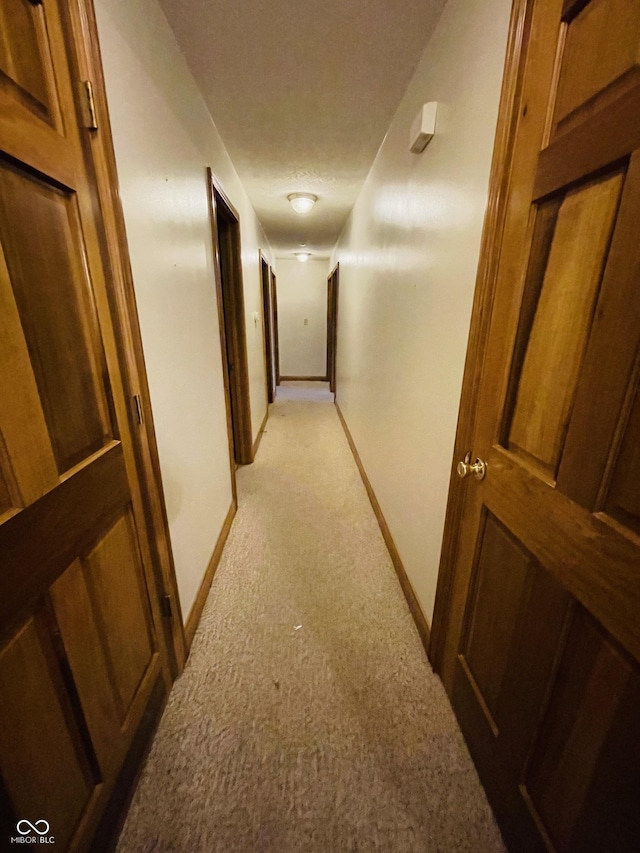 4706 W Old Trail Rd, Knightstown, IN 46148 - corridor with light colored carpet and baseboards