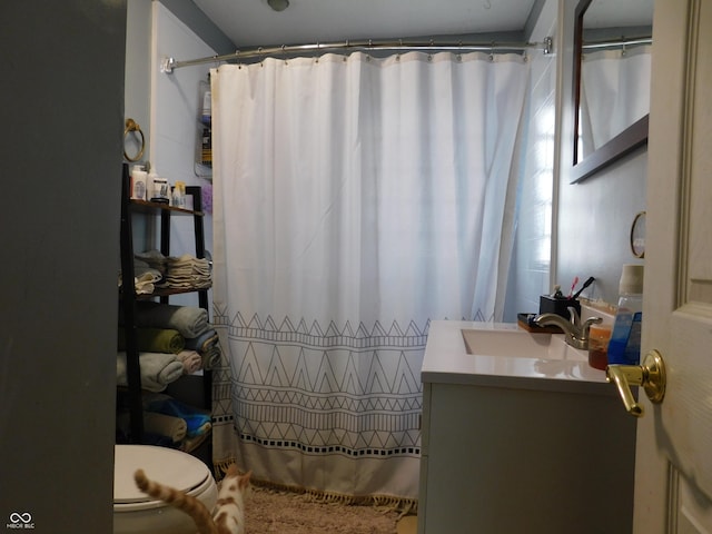 2867 S Oakland Dr, Shelbyville, IN 46176 - bathroom with vanity, toilet, and curtained shower