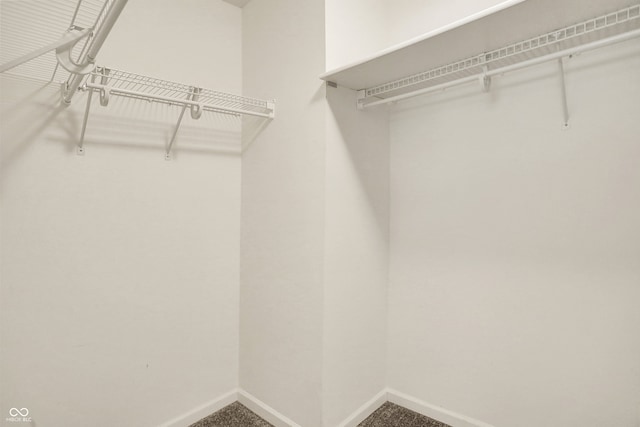 7156 Chemistry Ct, Indianapolis, IN 46239 - spacious closet featuring carpet flooring