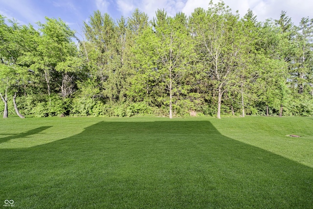 14003 Grannan Ln, Carmel, IN 46074 - view of grassy yard