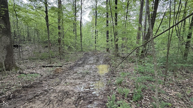6 Fiscus Cemetery Rd, Coal City, IN 47427 - photo 9