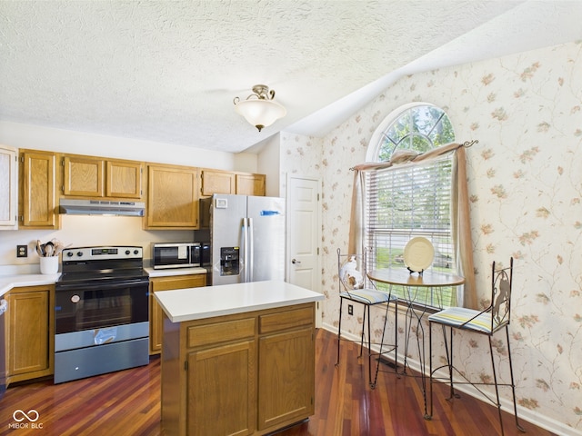 1356 S Catamaran Cir, Cicero, IN 46034 - kitchen featuring appliances with stainless steel finishes, under cabinet range hood, dark wood-style floors, wallpapered walls, and vaulted ceiling