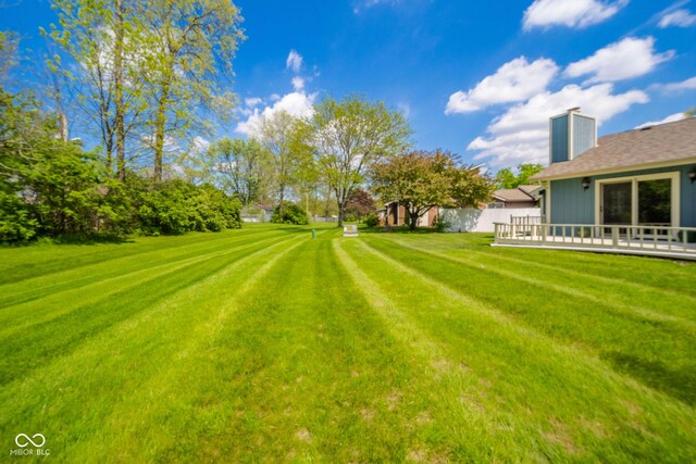 view of green lawn