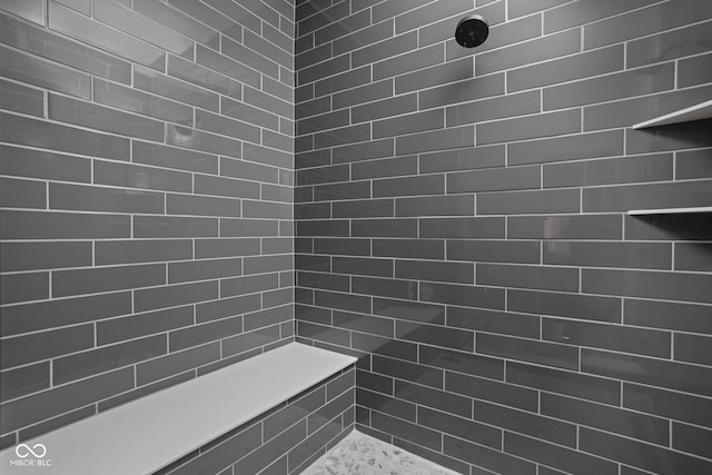127 Monon Green Blvd, Carmel, IN 46032 - bathroom with a tile shower and pet washing area