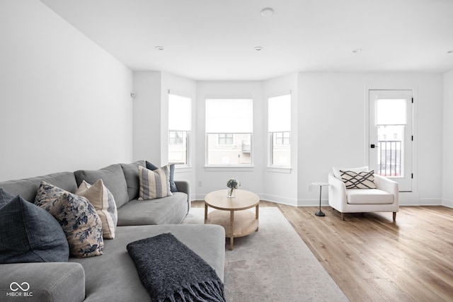 127 Monon Green Blvd, Carmel, IN 46032 - living area featuring light wood-style flooring and healthy amount of natural light