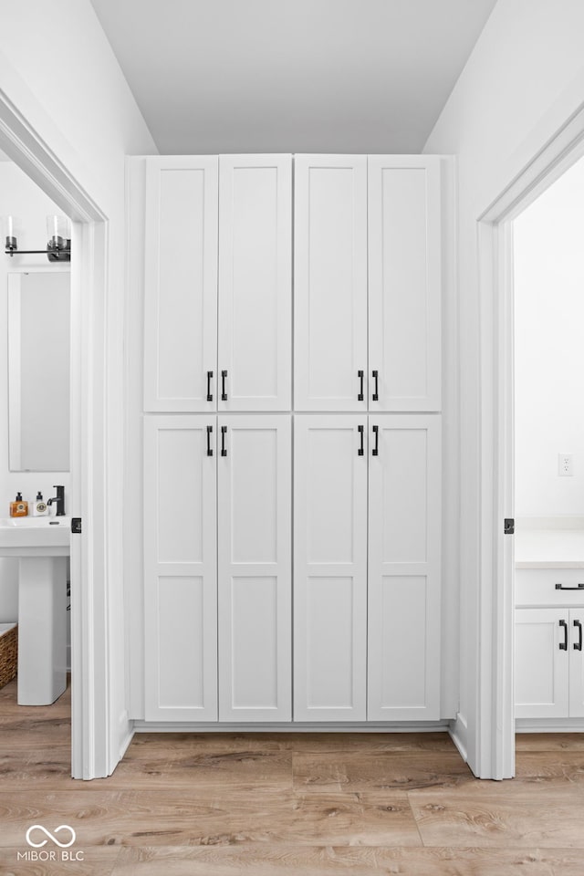 127 Monon Green Blvd, Carmel, IN 46032 - view of closet