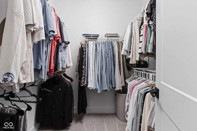 127 Monon Green Blvd, Carmel, IN 46032 - spacious closet with carpet floors