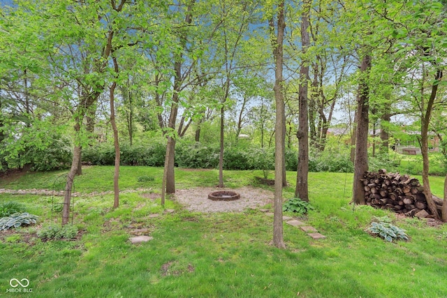 view of green lawn