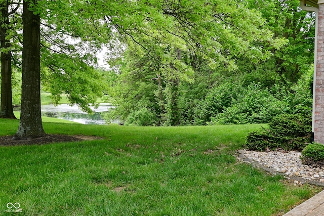 5361 Carnoustie Cir, Avon, IN 46123 - view of yard