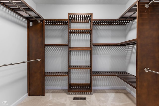 spacious closet with carpet floors
