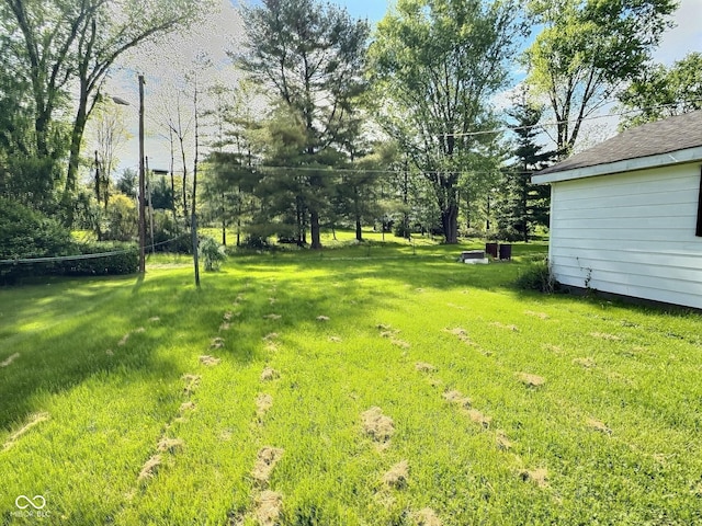 view of green lawn