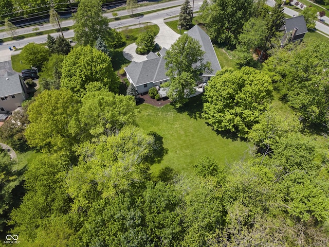 drone / aerial view