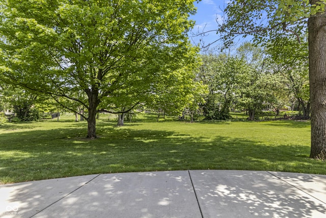 view of green lawn with a patio