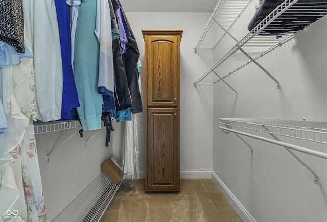 spacious closet with carpet