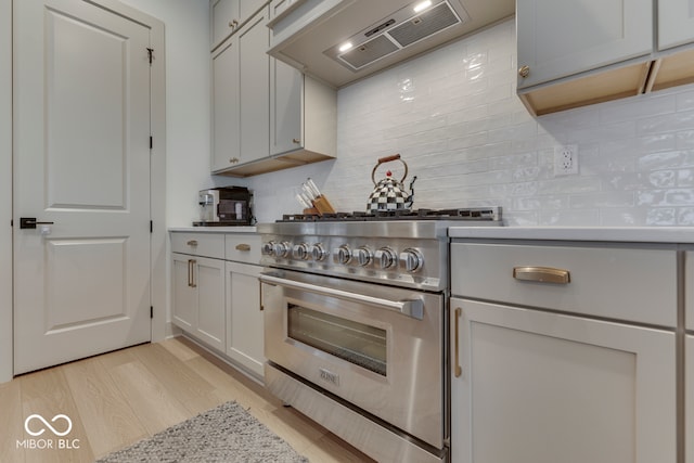 17346 Newton Main St, Westfield, IN 46074 - kitchen featuring high end stainless steel range oven, custom exhaust hood, decorative backsplash, light wood-style flooring, and light countertops