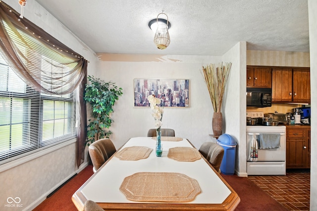 dining area featuring plenty of natural light, baseboards, brick patterned floors, and a textured ceiling