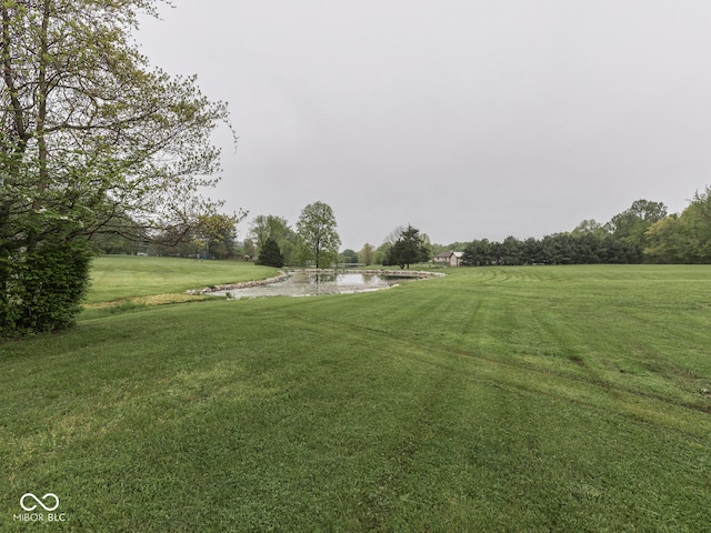 view of green lawn with a water view