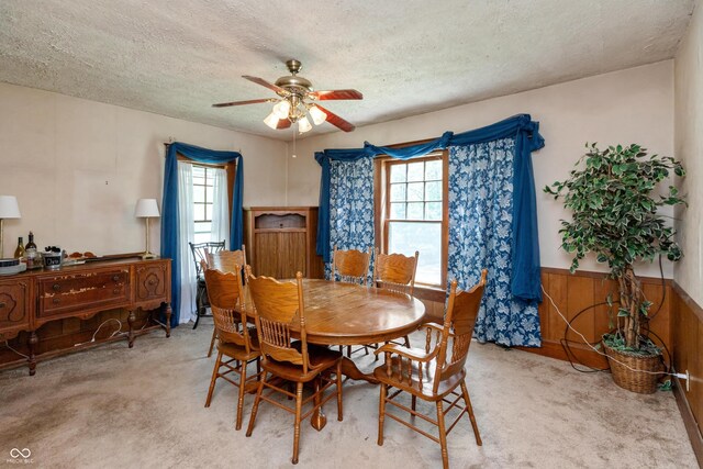 455 E Main St, Danville, IN 46122 - dining area with ceiling fan, healthy amount of natural light, a textured ceiling, carpet, and wainscoting