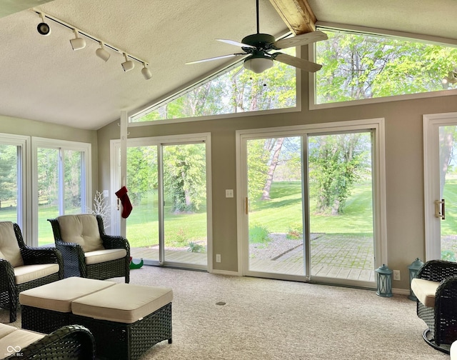 sunroom featuring lofted ceiling, rail lighting, and healthy amount of natural light