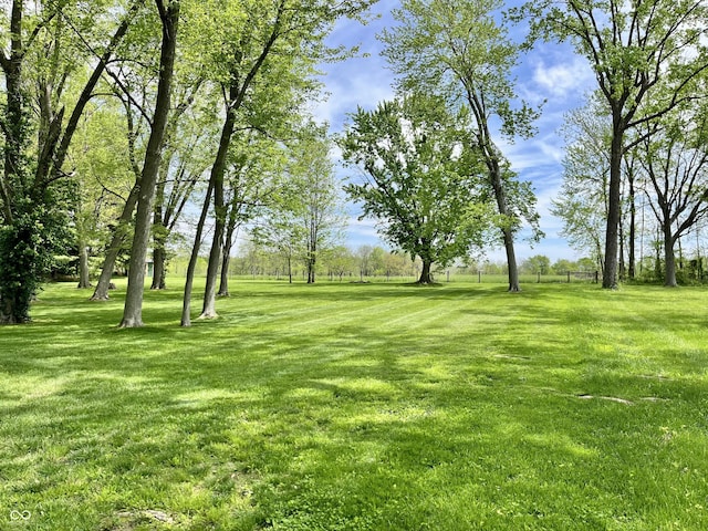 view of grassy yard