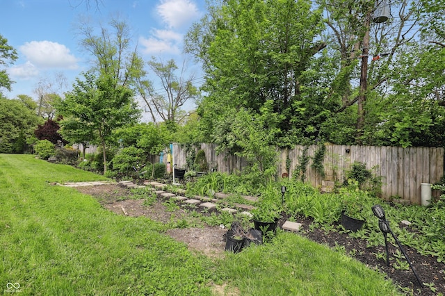 6825 Farmleigh Dr, Indianapolis, IN 46220 - view of yard