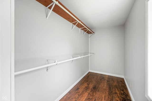 spacious closet featuring dark wood finished floors
