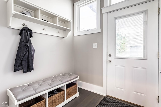mudroom featuring healthy amount of natural light and dark wood-style flooring