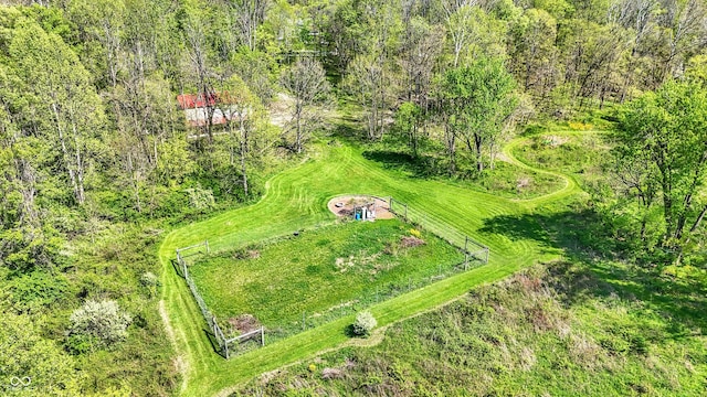 bird's eye view