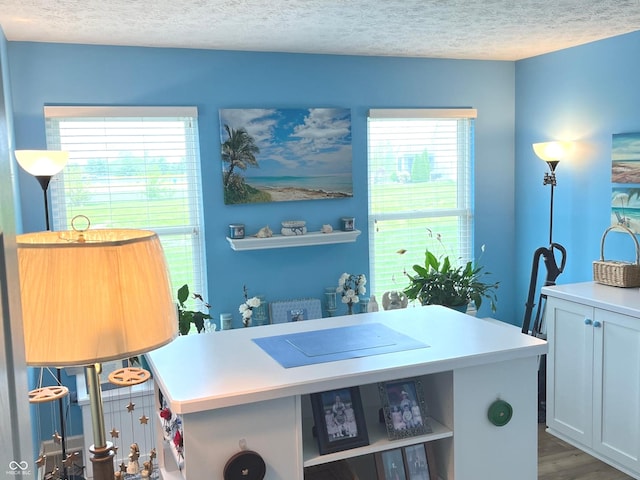 14058 Southwood Cir, Fishers, IN 46037 - laundry room with a textured ceiling and wood finished floors