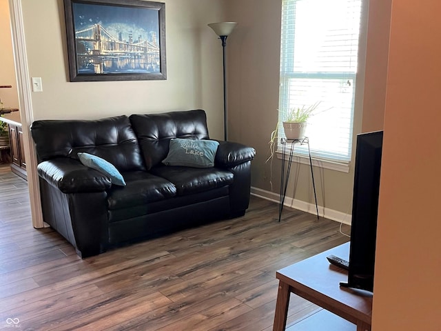 14058 Southwood Cir, Fishers, IN 46037 - living area with wood finished floors and baseboards