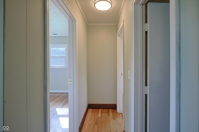 9855 N State Highway 7, Elizabethtown, IN 47232 - corridor with a textured ceiling, light wood-type flooring, ornamental molding, and baseboards