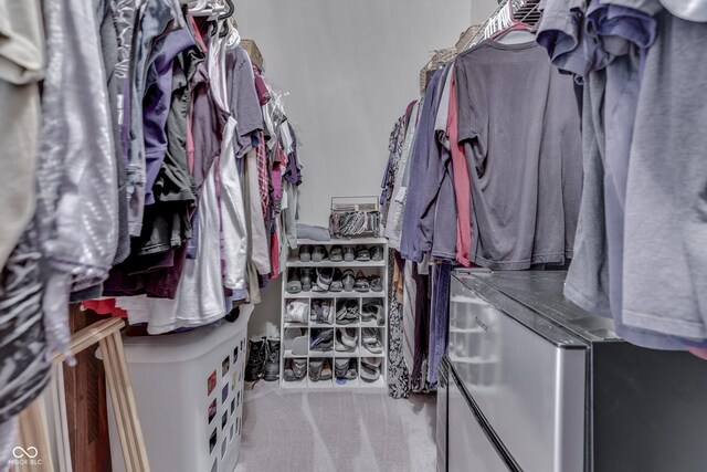 spacious closet featuring carpet