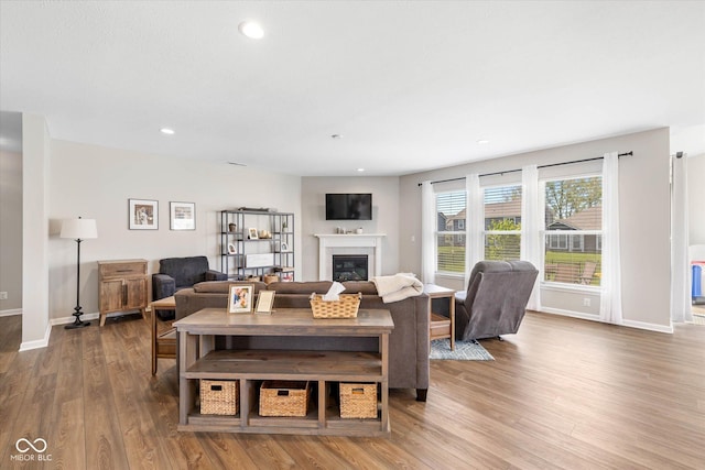 5375 Citadel Dr, Noblesville, IN 46062 - living room featuring a glass covered fireplace, wood finished floors, baseboards, and recessed lighting