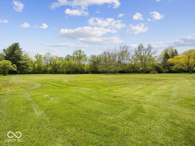 view of grassy yard featuring view of scattered trees