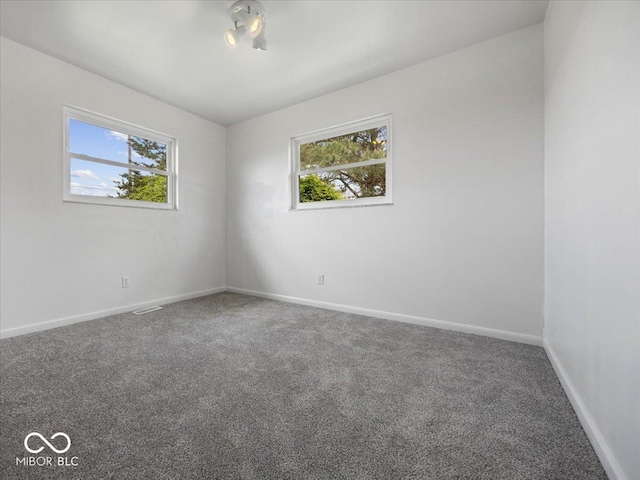 empty room featuring plenty of natural light, carpet, and baseboards