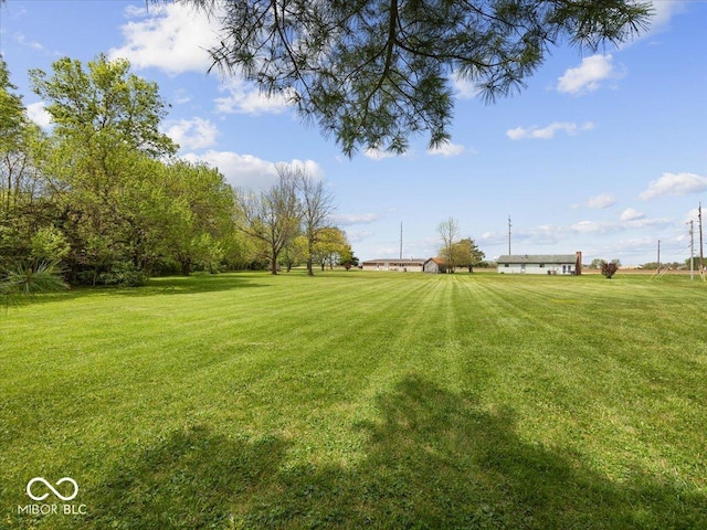 view of grassy yard