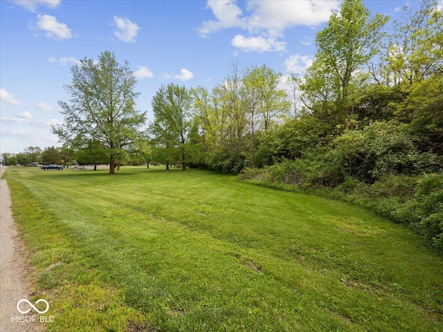 view of grassy yard